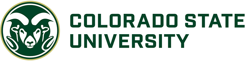University 20